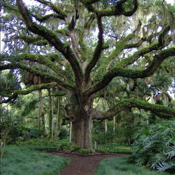 Meet the Posher - Picture 3 of 3